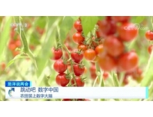 兩會關注數字農業，構建鄉村振興的數字藍海